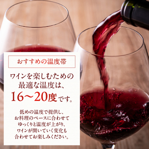 打出の小槌 カベルネ・ソーヴィニヨン 2022　2本　ワイン 赤ワイン カベルネ・ソーヴィニヨン 2022 750ml 2本 数量限定 赤 国産ワイン 山梨県産 白州産 北杜市産 完熟  黒系果実 オ