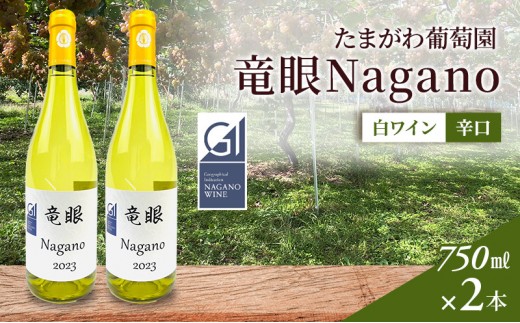 
                  ワイン　竜眼Nagano　【GI長野】認定　750ｍｌ×2本 | 白ワイン お酒 酒 竜眼 長野市産 人気 おすすめ 辛口 フルーティー ワイナリー 葡萄 ギフト プレゼント 家飲み 飲み比べ 送料無料 長野県 長野市 信州 信濃 ふるさと納税
                