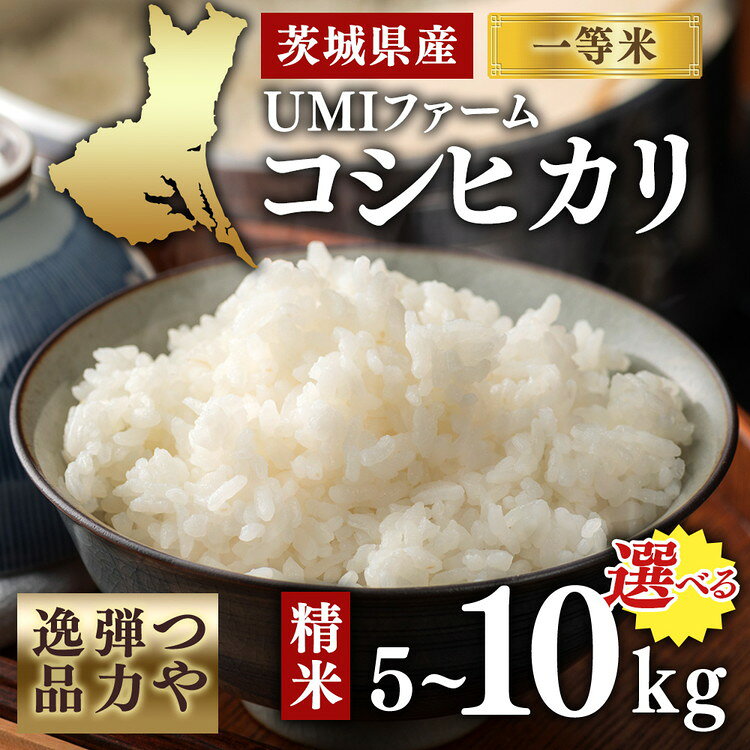 【ふるさと納税】＼選べる内容量／令和7年産 茨城県産コシヒカリ一等米 精米 つや、弾力逸品