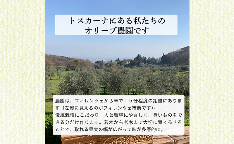 【生産予約】オリーブ通が選ぶ最高峰、金のNON-FILTER2本入りEVOO 計4本セット【2025年12月発送】エキストラ ヴァージン オリーブオイル イタリア トスカーナ産 袋井市 静岡県