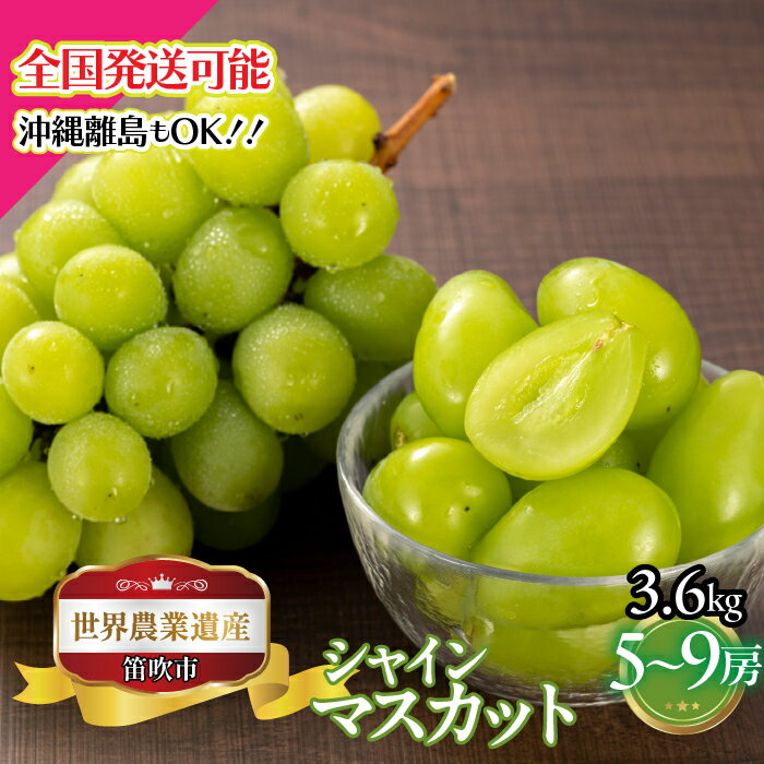 【ふるさと納税】【2026年発送★先行予約】山梨県笛吹市産　シャインマスカット5房～9房　3.6kg ふるさと納税 ぶどう シャインマスカット 笛吹市 国産 人気 期間限定 果物 フルーツ 旬 山梨県 送料無料 223-028