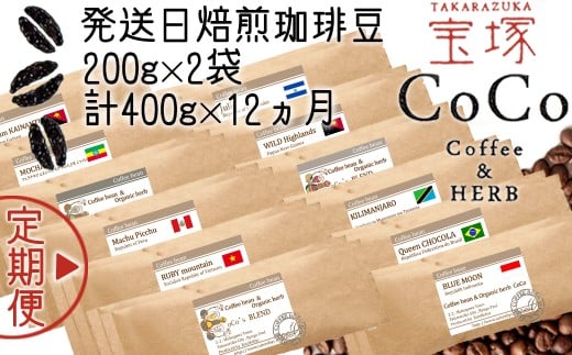 【宝塚】12ヶ月の定期便（当日自家焙煎珈琲豆・全12種類）【粉】