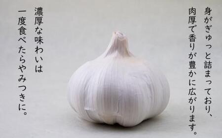 【5月上旬頃～発送】にんにく 国産 香り際立つ 生にんにく 1kg