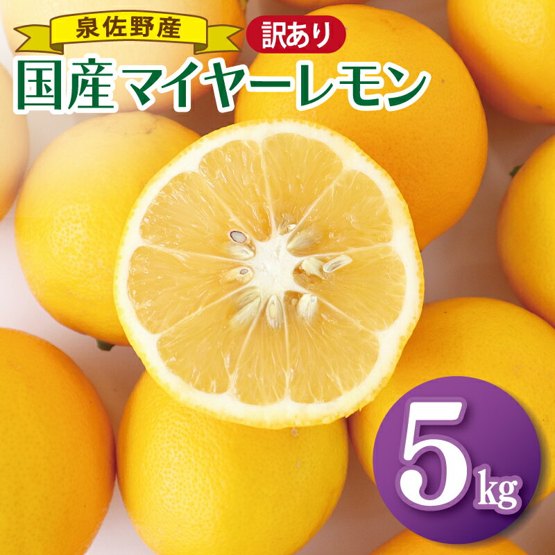【ふるさと納税】【訳あり】 国産 マイヤーレモン 5kg 泉佐野産 産地直送 酸味まろやか ほどよい甘み レモン デザート ドリンク 料理 アクセント フルーツ 果物 ジャム ママレード はちみつレモン レモンシロップ 家庭用 加工用 サイズ不揃い 大阪府 泉佐野市 送料無料