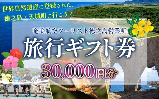 旅行ギフト券 30,000円分 奄美航空ツーリスト 徳之島営業所 旅行クーポン 航空券 フェリー 徳之島 天城町 鹿児島 世界自然遺産 旅行 観光 クーポン