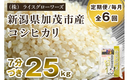 【令和8年産新米先行予約】【定期便6ヶ月毎月お届け】7分づき 特別栽培米 コシヒカリ 精米 25kg（5kg×5）《10月上旬～順次出荷》 従来品種コシヒカリ （株）ライスグローワーズ 新潟県 加茂市産 白米 米 お米 定期便