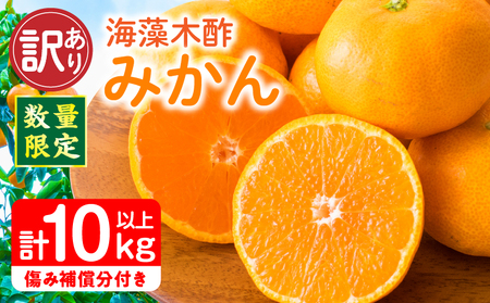 訳あり 数量限定 海藻木酢みかん 計10kg以上 傷み補償分付き フルーツ 果物 くだもの 柑橘 みかん　国産 期間限定 食品 家庭用 自宅用 B品 わけあり オレンジ デザート おやつ おすすめ おすそ分け ご褒美 お取り寄せ グルメ 産地直送 宮崎県 日南市 送料無料_BAV1-24