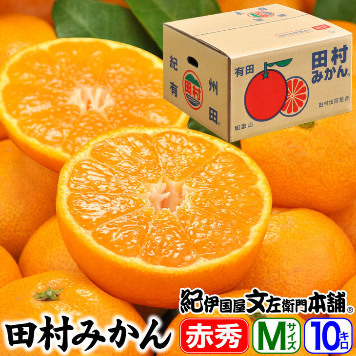 田村みかん/特選ギフト品10kg【Mサイズ】赤秀｜湯浅町田村地区産 産地直送 最高級 紀伊国屋文左衛門本舗<br>※2025年11月下旬～2026年1月中旬頃に順次発送予定