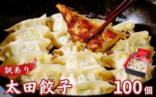 【訳あり】無添加 野菜たっぷりなごみ家 冷凍 生餃子 100個 | 茨城県 常陸太田市 美味しい 野菜 楽しみ 一品 おかず 夕食 こども 大人 新鮮 たっぷり ニンニク 有り なし  包装 のし掛け餃子 ぎょうざ 生餃子 冷凍 ギフト 贈り物