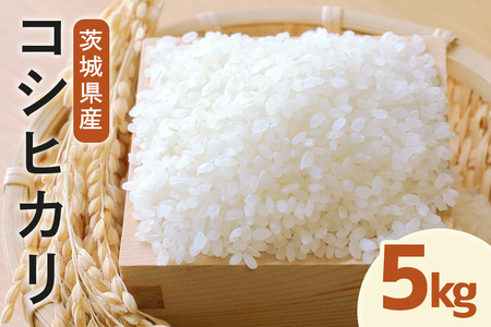 令和7年度産 みねしまふぁーむ 常陸牛農家が育てるコシヒカリ 5kg コシヒカリ 低農薬 低化学肥料 米 発送直前に精米 精米 コシヒカリ米 茨城県産 白米 お米 コメ おこめ こめ こしひかり 有機 ブランド 健康 ギフト 贈り物 A31-001