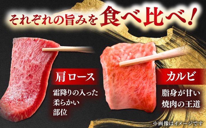 牛肉 焼肉 セット 盛り合わせ 部位 カルビ 肩ロース しまね和牛 島根和牛
