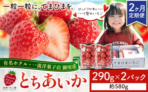 いちご 栃木県芳賀町産いちご とちあいか 2パック 580g 2ヶ月定期便 《2027年1月上旬-4月下旬頃出荷予定》岩﨑いちご園 果物 フルーツ 苺 イチゴ 栃木県 芳賀町 【配送不可地域あり】(沖縄・離島)