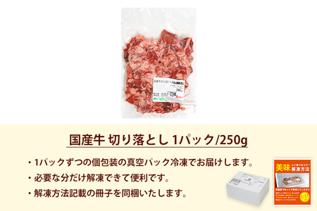 国産牛 切り落とし 250g 牛肉 DV069 