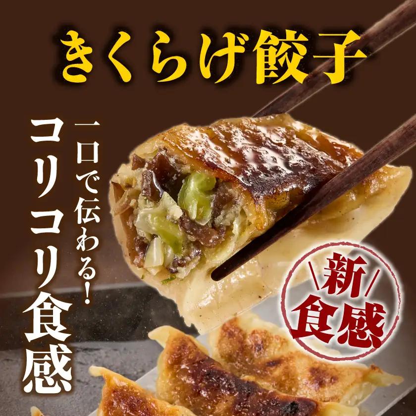 香りを堪能「きのこ餃子」&食感楽しむ「きくらげ餃子」食べ比べ66個_12-87-002_(都城市) ギョウザ きくらげ餃子 きのこ餃子 にんにく使用 大杉しいたけ園 2種 食べ比べ 焼き餃子 水餃子 