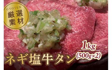 【ふるさと納税】葱塩牛タンスライス500g×2