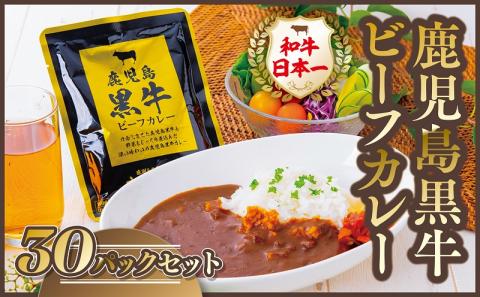 鹿児島黒牛ビーフカレー 30パックセット