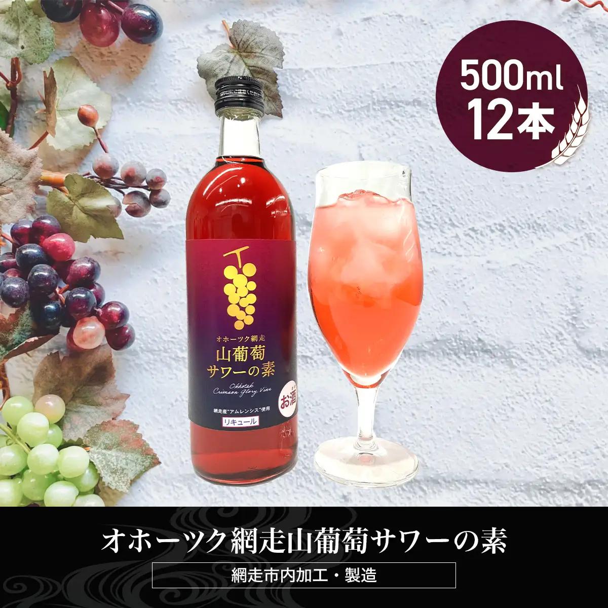 オホーツク網走山葡萄サワーの素　500ml×12本入り（網走市加工・製造）  ABH051