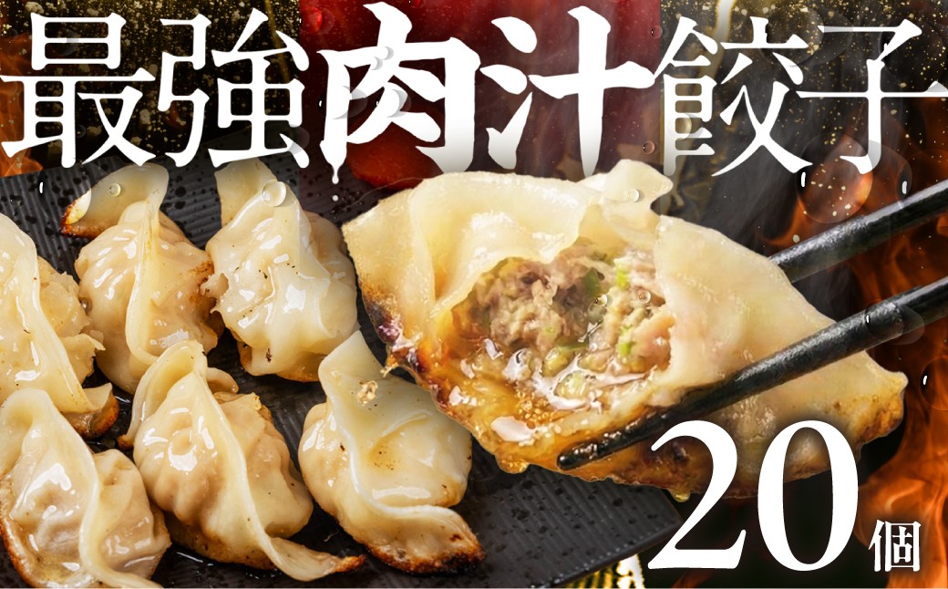 
                  ＼メディアで話題！／ 最強肉汁餃子 1箱（20個） 餃子 冷凍餃子 惣菜 ギョーザ ぎょうざ 中華 簡単調理 簡単 人気 ランキング 肉汁 美味しい 国産素材 豚肉 豚 ギフト 贈答 もっちり 冷凍惣菜 お惣菜 つまみ 愛知県 豊橋市
                