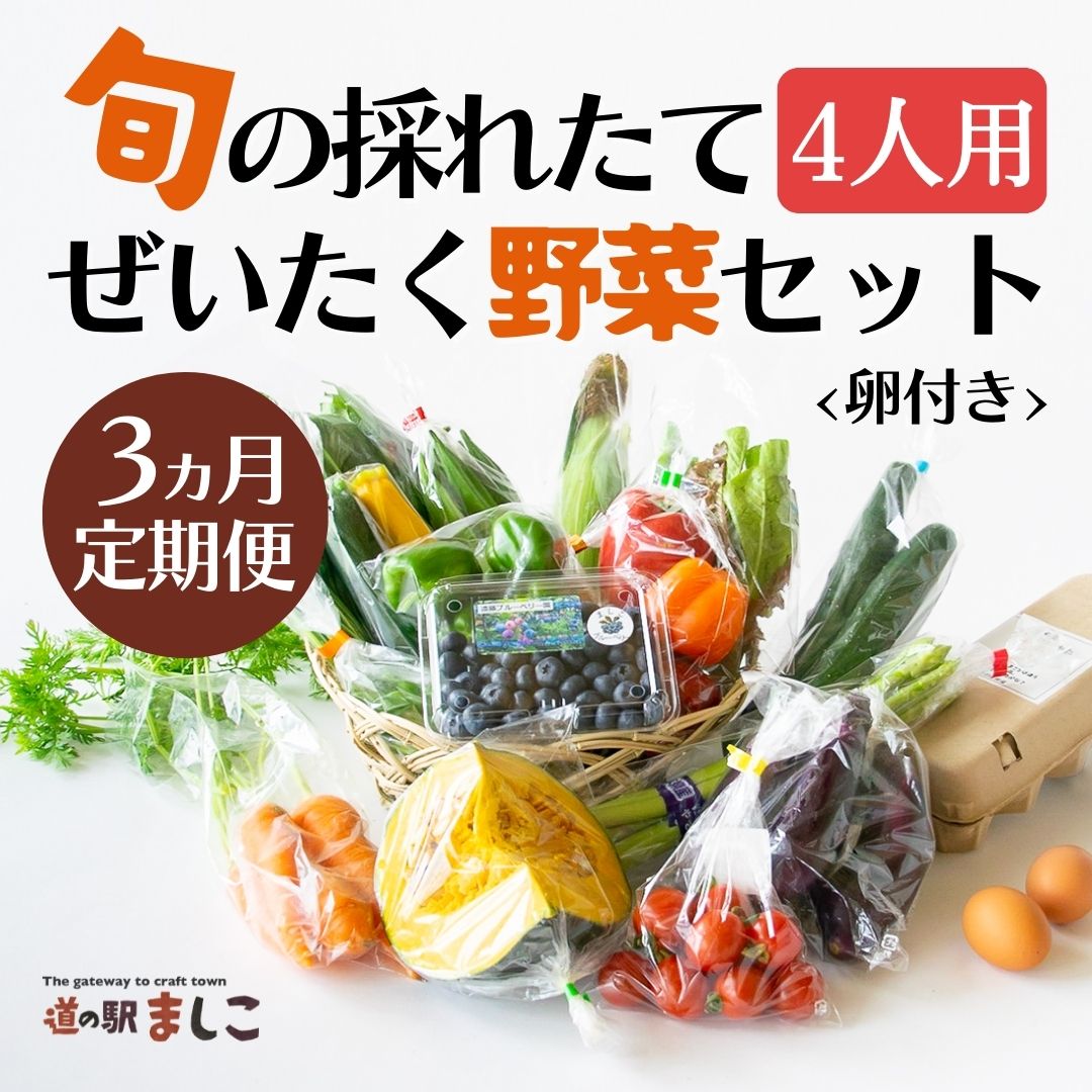 AA006 ＜3か月定期便＞旬の採れたてぜいたく野菜セット（卵付き）4人用　定期便 3ヶ月 野菜 やさい セット 旬 採れたて 卵 4人用 4人前 贅沢 ぜいたく 10個入り1パック