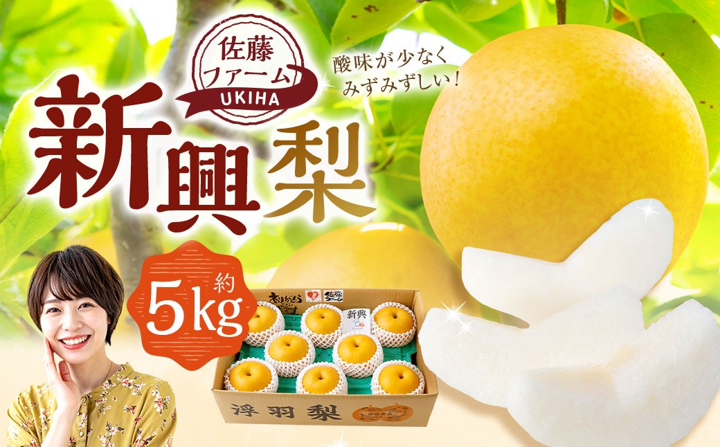 
            【先行予約】 佐藤ファーム 新興梨 8玉～12玉 （約5kg） 【2026年10月下旬より順次発送予定】 梨 なし ナシ 新興 しんこう 果物 くだもの フルーツ 果実 ジューシー お取り寄せ 福岡県 うきは市
          