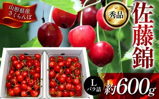 《先行受付2025年度6月発送》 山形県産 さくらんぼ 佐藤錦 秀品 Lサイズ 約600gバラ詰め FSY-1214