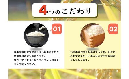 【先行予約】【定期便／6ヶ月】魚沼産川西こしひかり5kg  令和7年度米＜令和7年10月下旬～発送予定＞ 