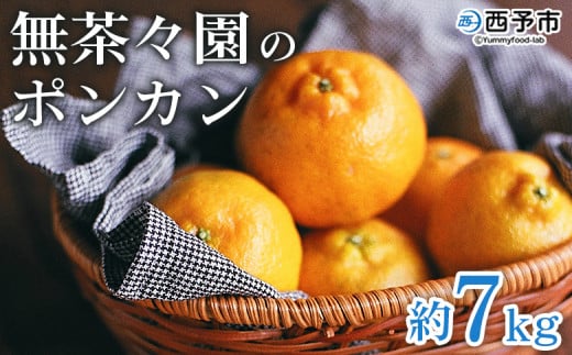＜無茶々園のポンカン 約7kg＞ 果物 くだもの フルーツ 選べる内容量 ぽんかん みかん 蜜柑 柑橘類 かんきつ 旬 甘い 濃厚 新鮮 期間限定 季節限定 産地直送 特産品 愛媛県 西予市 【常温】