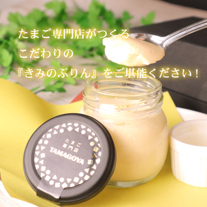 きみのぷりん10個入り【 スイーツ お菓子 プリン 静岡県 三島市 】