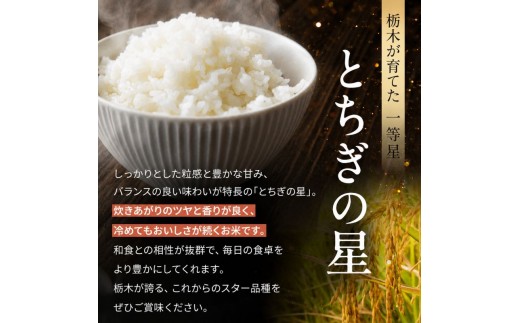 【令和8年産 新米】 【定期便6回】栃木県産 お米 とちぎの星　（無洗米） 10kg 【2026年秋 先行予約】 |  栃木県 矢板市 【栃木県共通返礼品 真岡市産】