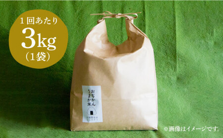 【2回定期便】小値賀町産 こしひかり 6kg (3kg×2回) おぢかんうまか 米 白米 【しまうま商会】[DAB037]/ 長崎 お米 こめ 精米 コシヒカリ 3キロ 定期便