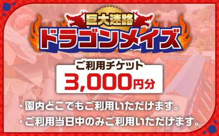 チケット 「心の駅　陽だまりの丘」 巨大迷路 ドラゴンメイズチケット 3000円分  [AIAZ001] 