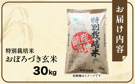 令和7年産!ファーム坂口の特別栽培米 おぼろづき玄米30kg(30kg×1袋)