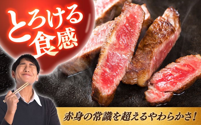 ヘレ フィレ 厚切り 赤身 希少部位 お肉 牛肉 黒毛和牛