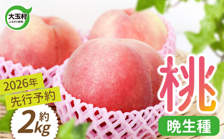 桃2kg 夏の味覚 令和8年度産桃