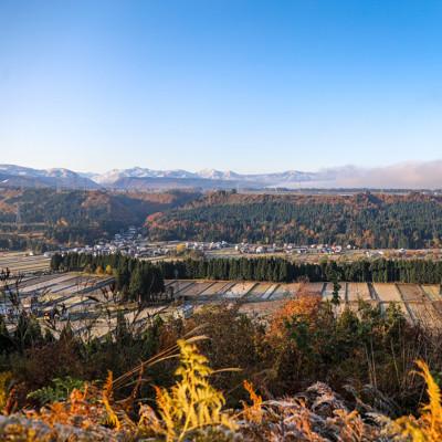 ふるさと納税 十日町市 【毎月定期便】中里地域限定!魚沼産コシヒカリ10kg(5kg×2袋)×3回 合計30kg全3回 |  | 02