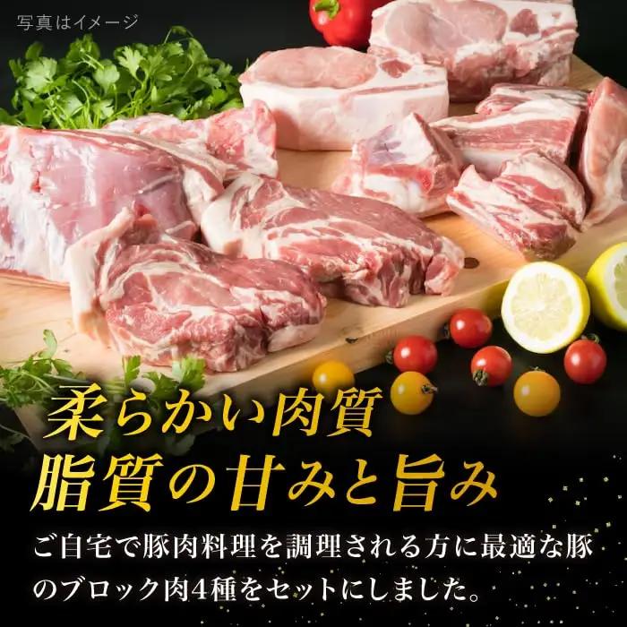 【全6回定期便】【盛り合わせ】 糸島産豚肉 ブロック 肉4品盛合せセット 約2.8kg 糸島市/糸島ミートデリ工房 [ACA279]