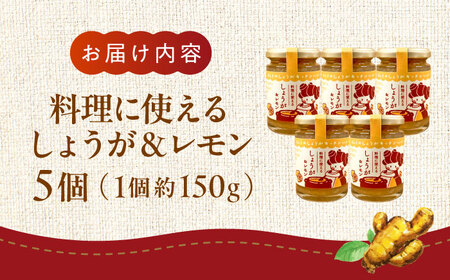 料理に使えるしょうが＆レモン 約150g×5個 セット 合計約750g【ジンジベル】[AYAD006]