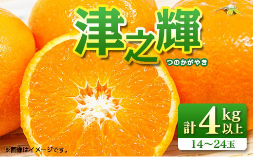 先行予約 津之輝 つのかがやき 4kg 希少 L ～ 4L フルーツ 果物 くだもの 柑橘 みかん ミカン 蜜柑 2027年 令和9年発送 国産 食品 おすすめ デザート おやつ みかんジュース ギフト 贈り物 おすそ分け 選べる 宮崎県 日南市 送料無料_CAV18-26