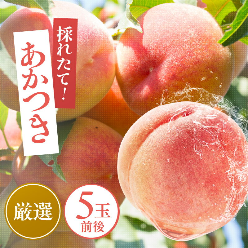 【ふるさと納税】【クール便】桃　あかつき　大玉　糖度13度以上【本州・四国発送】5個 9個 | 果物 くだもの フルーツ 桃 あかつき モモ もも 長野県 信州 南信州 飯田市