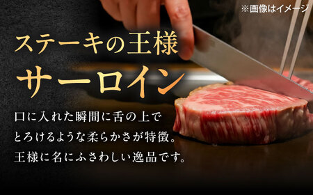 【3回定期便】佐賀牛 サーロインステーキ 500g（250g×2枚） /MKミート武雄[UEM021]