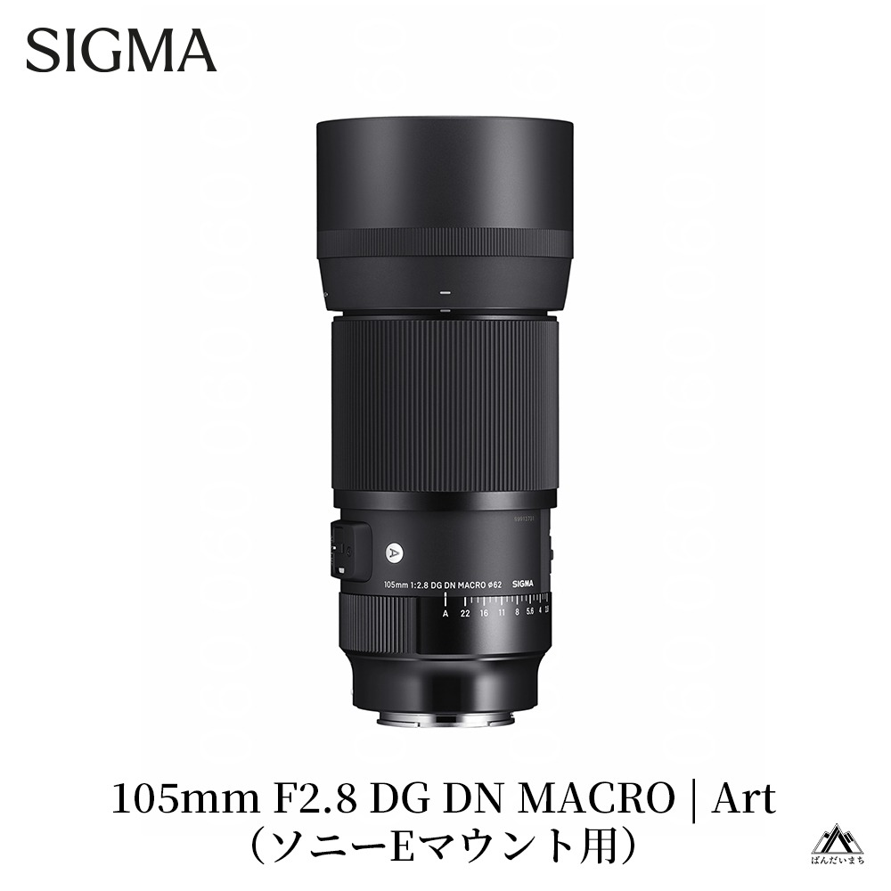 SIGMA 105mm F2.8 DG DN MACRO｜Art【ソニーEマウント】カメラ　レンズ