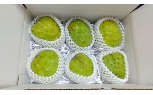 
            【先行予約】希少!!　森のアイスクリーム　アテモヤ
          