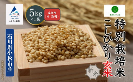 【定期便】コシヒカリ 5kg × 3回 令和7年産 特別栽培米 こしひかり 玄米（毎月） コメ お米 3ヵ月 3ヶ月 3か月 石川県 小松市【農家ふじた】