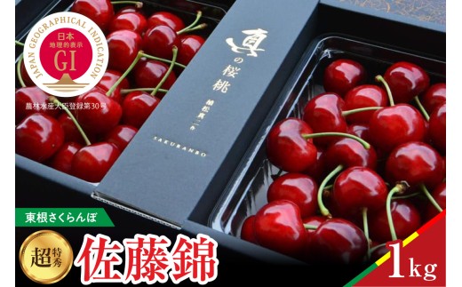 【2027年産 先行予約】 GI東根さくらんぼ 真の桜桃 佐藤錦 超特秀 1kg 山形県 東根市 hi062-049-r9 ふるさと納税 フルーツ 果物 くだもの さくらんぼ サクランボ 佐藤錦 期間限定 取り寄せ グルメ 特産 産地直送