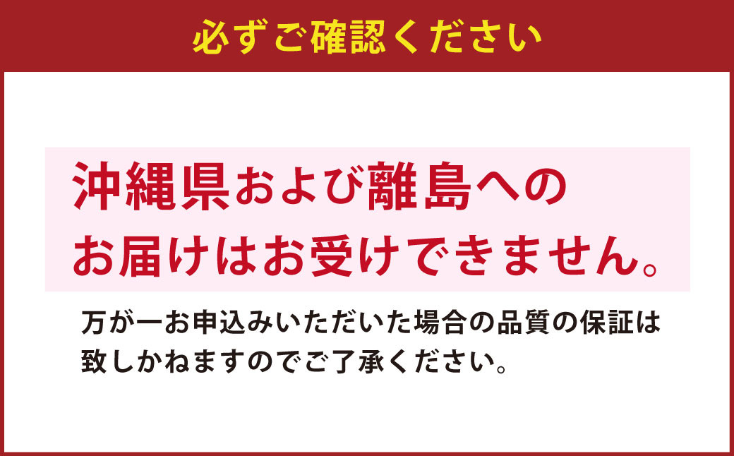 手打ちひやむぎ4人前（つゆ付）