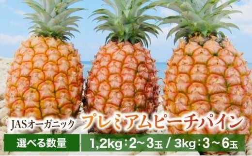 
            ＜選べる容量＞【JASオーガニック】プレミアムピーチパイン 約1.2kg〜3kg　2～6玉
          