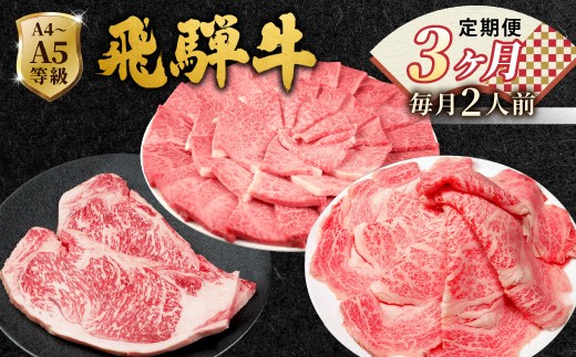 
                  全3回 飛騨牛 定期便 計1.1kg 2人前 すき焼き しゃぶしゃぶ ステーキ 焼肉 BBQ ロース カタロース ロースステーキ モモ カタ 贅沢 贈り物 3ヶ月 定期 おすすめ 選べる 人気 飛騨 ブランド牛 肉のひぐち 岐阜県 七宗町
                