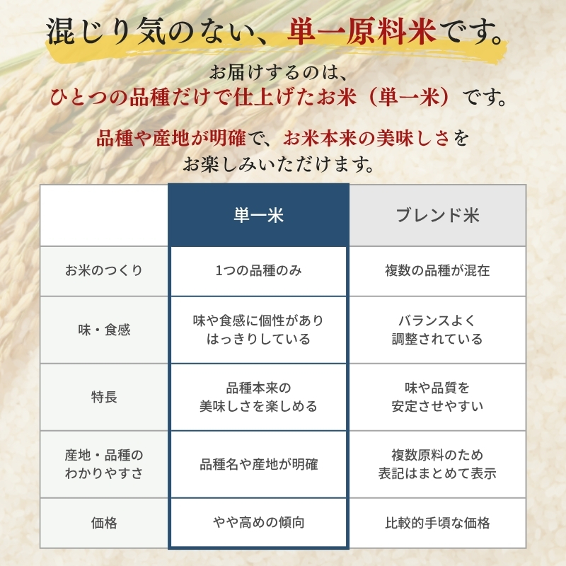 【12月上旬より配送】 コシヒカリ 10kg  6か月定期便 新潟県 上越市産 令和8年産 お米 精米 米 ご飯 送料無料