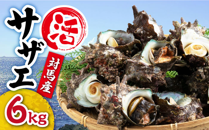 
【先行日時予約】対馬産 活サザエ 6kg《対馬市》【保家商事】 対馬 常温配送 さざえ 貝 魚介 サザエ さしみ 刺し身 お刺し身 贈答 贈り物 ギフト 人気 ランキング 長崎 九州 つしま 対馬市 海鮮 [WAA016]
