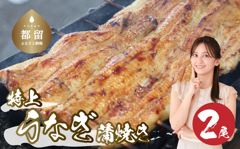 うなぎの蒲焼（半カット）2尾　380g以上　ウナギ 鰻 うなぎ 蒲焼